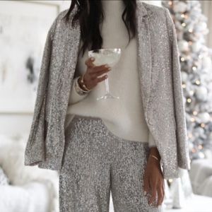 Banana Republic Soft Drapey Silver Sequin Blazer Sz 4P